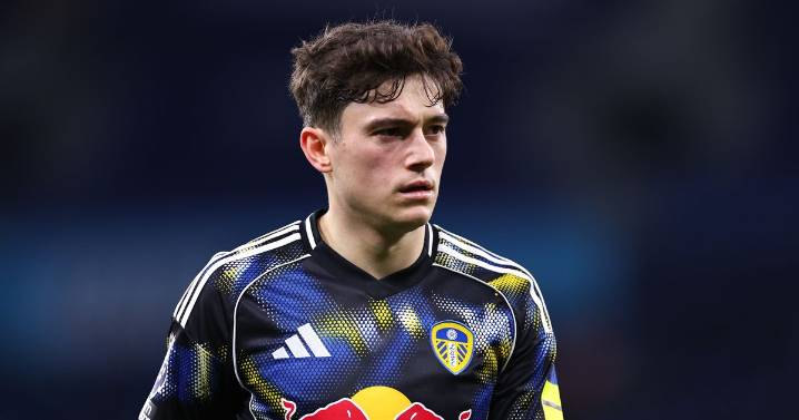 Leeds United injury latest and return dates - Daniel James, Anton Stach, James Justin and more