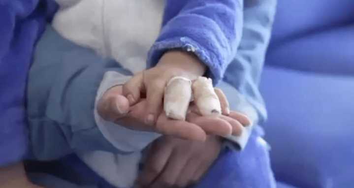 Día de Velitas en Bogotá: 17 personas lesionadas con pólvora