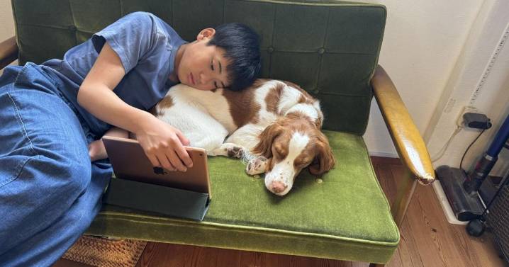 Dogs boost teens’ mental health by changing this in their bodies