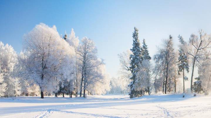 How a warming winter impacts the Carolinas