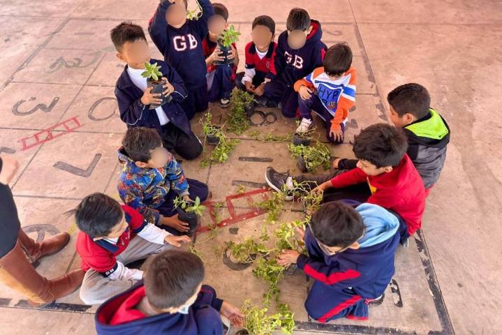 Torreón: ‘Aprendo y Cuido Más’ fortalece conciencia ecológica en primarias