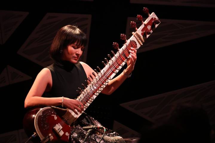 Anoushka Shankar’s damaged sitar triggers full Air India review of baggage handling