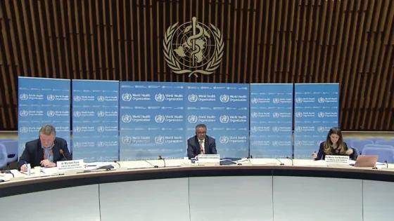 OMS mantiene la hoja de coca en la lista más estricta de drogas