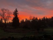 Scene in Mountlake Terrace: Ballinger Park sunset
