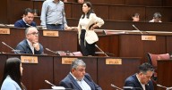 Cierra el año de la Legislatura de Neuquén con los presupuestos, la ley de Fuego y apuesta a una reforma