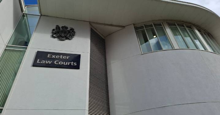 Angry woman launched rounders bat attack