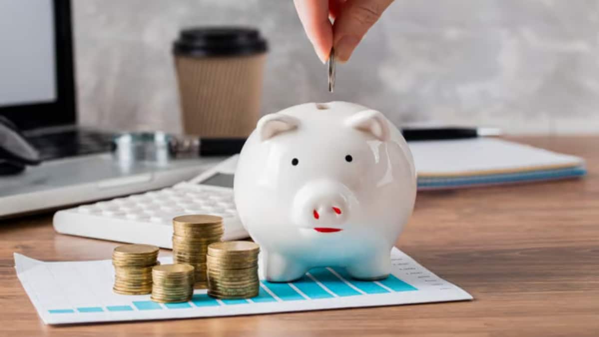 RBI Repo Cut May Push FD Returns Lower: Last Chance For Investors, Comparing Latest Rates Of Lenders