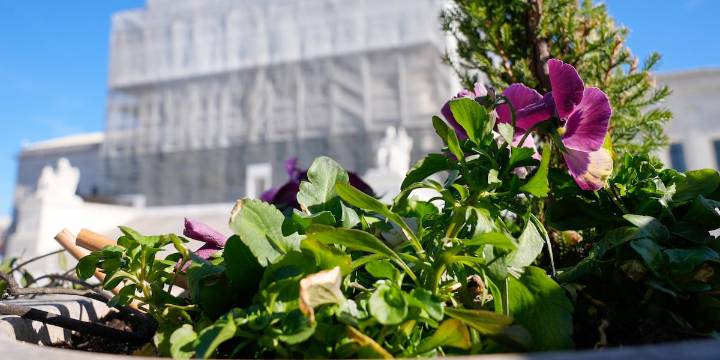 Supreme Court allows Texas to use a congressional map favorable to Republicans in 2026