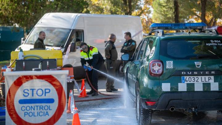La plaga de jabalíes complica el control sobre el foco de peste porcina africana