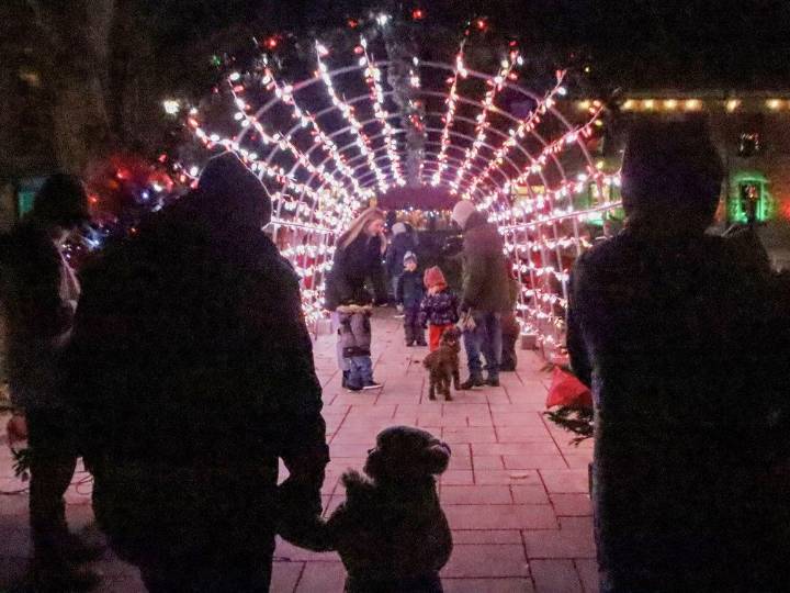 Gananoque Candy Cane Lane alight for the start of the holiday season