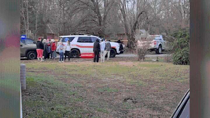 Grandfather, 3-month-old granddaughter dead after dog attack in Tennessee