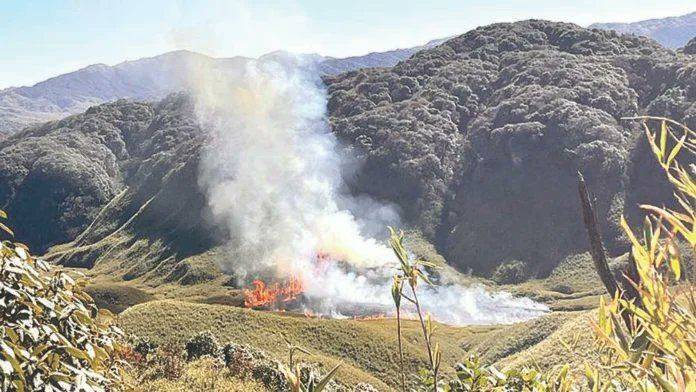 Nagaland seeks IAF aerial support as Dzukou Valley wildfire enters Day 3