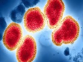 Alerta en Europa por el aumento de casos de la nueva variante ‘K’ del virus H3N2