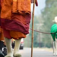 Monks on 120- day “Walk for Peace” arrive in Louisiana