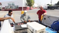 Arranca en Nuevo Laredo temporada de venado cola blanca con alta afluencia de cazadores