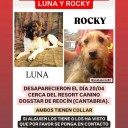 Luna y Rocky, los perros de Quijas decapitados