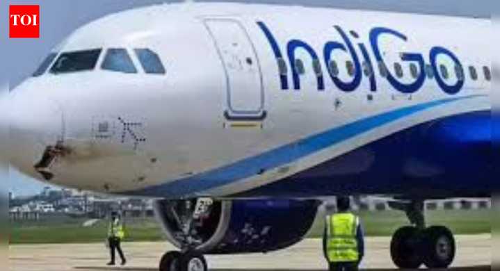 At 19.7%, IndiGo on time performance rock
