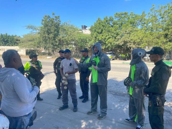 Corpamag intensifica campaña para frenar el consumo y comercio ilegal de huevos de iguana