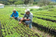 Motor Agroalimentario impulsa fuerza productiva y economía nacional