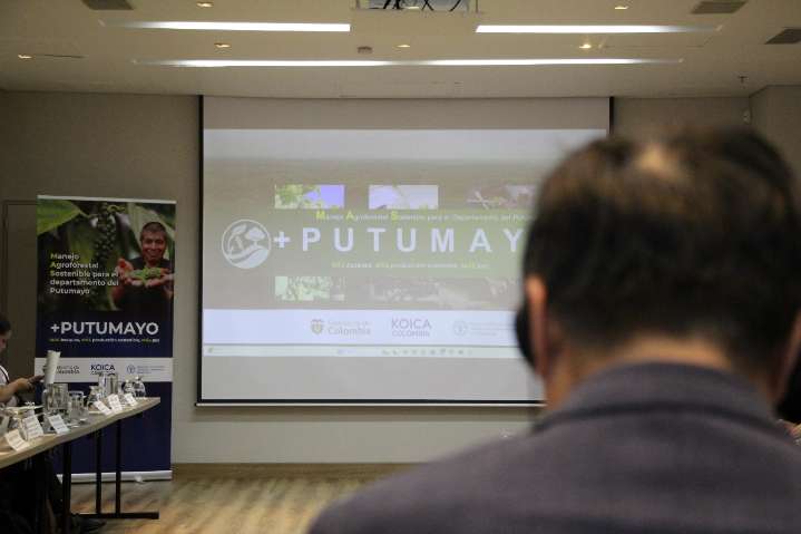 FAO y KOICA Lanzan Proyecto Agroforestal para Transformar Putumayo con Inversión de USD 3,9 Millones
