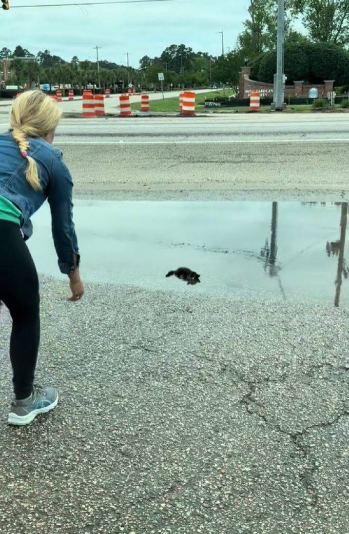 South Carolina Residents’ Instincts Lead Them To A Vulnerable Life Nearby