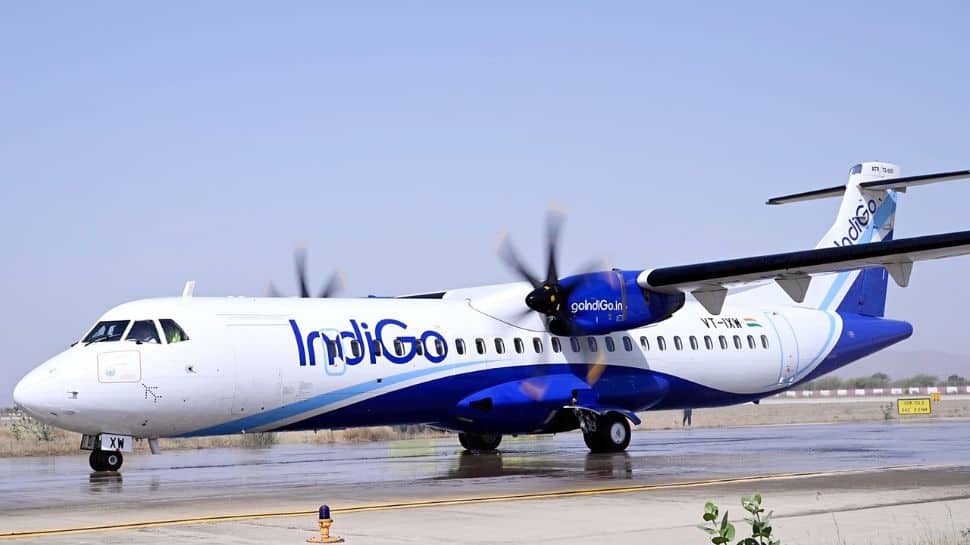 IndiGo Crisis: How To Check Your Live Flight Status Online Amid Mass Cancellations