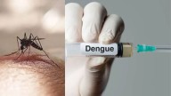 Mosquito spike raises fresh dengue alarm in Kerala