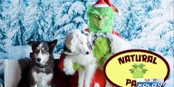 Natural Paws hosts its annual Grinch photo fundraiser