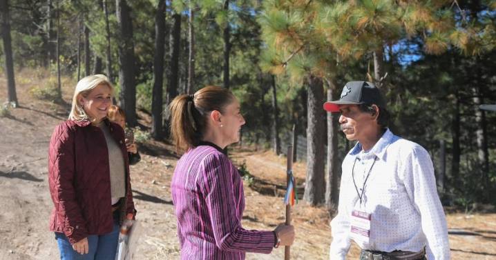 Sheinbaum devuelve tierras ancestrales al Pueblo Ódami; más de 3 mil hectáreas en la Sierra Tarahumara