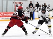 Golden Hawks beat Sabres to snap three