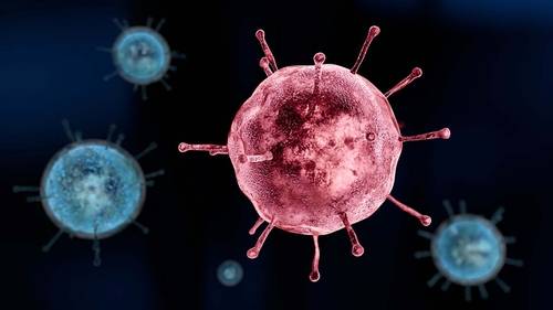 Seasonal flu virus numbers increase across NC; NCDHHS shares tips to stay healthy this season