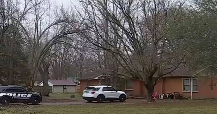 Grandfather and 3-month-old child 'mauled to death by pitbulls' 