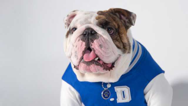 Drake's beloved live mascot, Griff II, retiring this spring