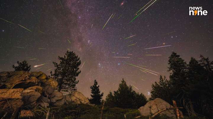 Geminids meteor shower peaks this week: How and when to watch spectacular display