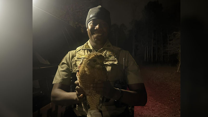 Pulaski County deputy helps injured red