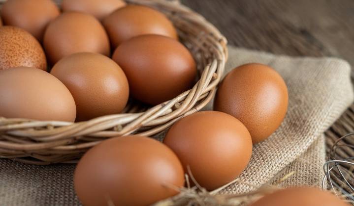 EE. UU. autoriza exportación de huevo colombiano para uso industrial