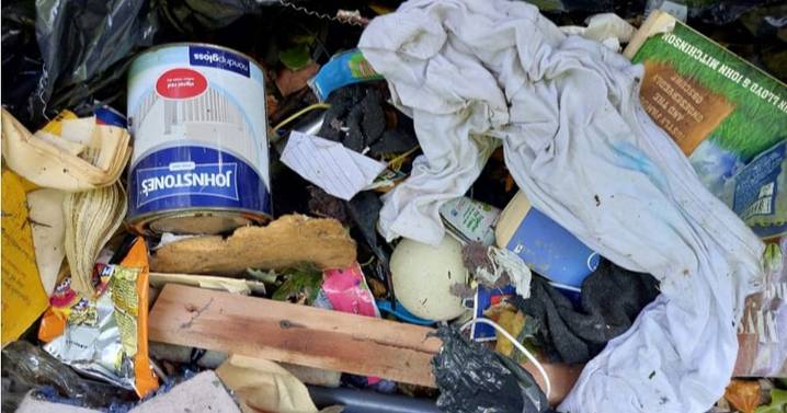 Woman slapped with £300 fine as 'clue' found in fly