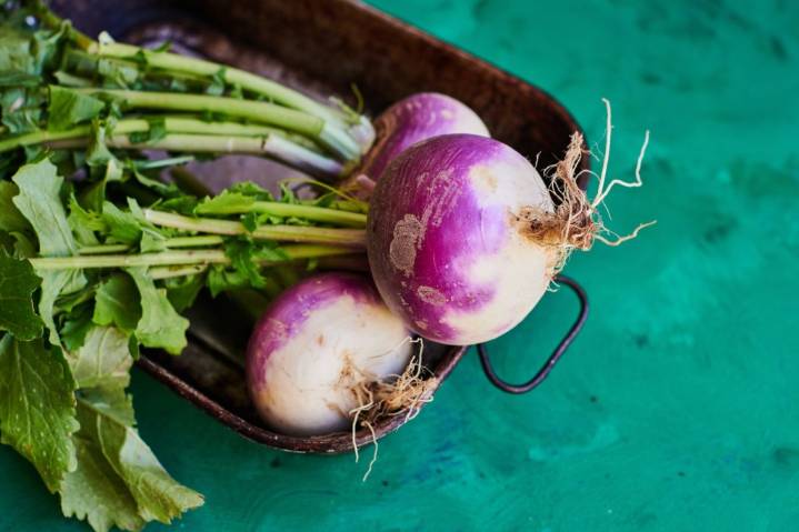 Turnips can be planted in the fall or just about any time in Southern California