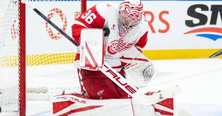 Gibson gets 1st shutout in almost 3 years as Red Wings blank Canucks 4