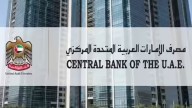 Nafis not counted as stable income for loans, clarifies UAE Central Bank