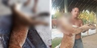 Indignación por asesinato de puma en Guainía: hombres se tomaron fotos con el cuerpo del animal