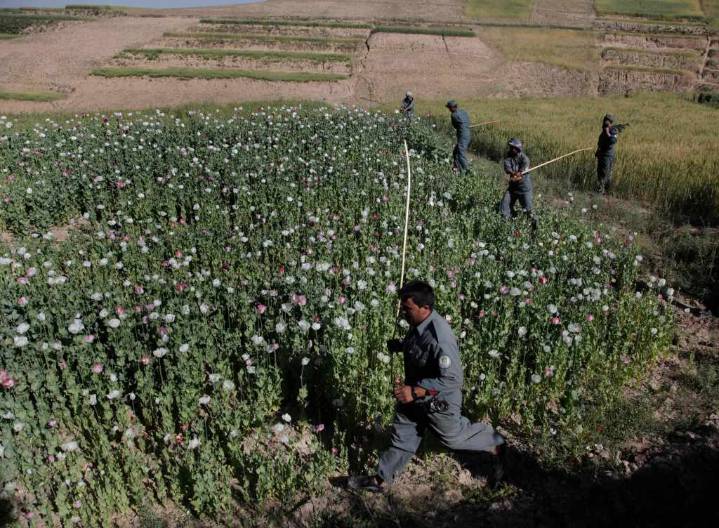 The CIA's multibillion-dollar opium lark in Afghanistan
