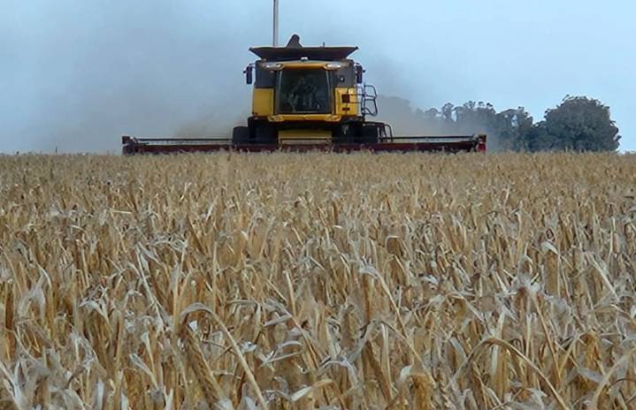 Un juego de ingenio para no perder el partido