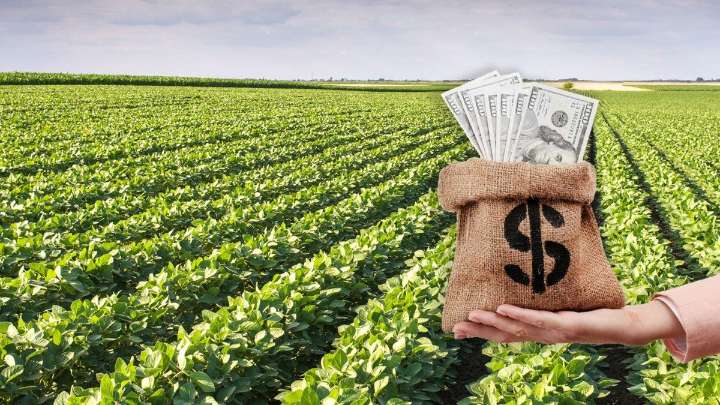 Es oficial la baja de retenciones al campo: todos los detalles