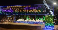 Alumbrado navideño en Manizales: aves resaltan entre las luces