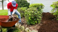 Save Money On Mulch With A Gardening Tip We Should Have Thought Of