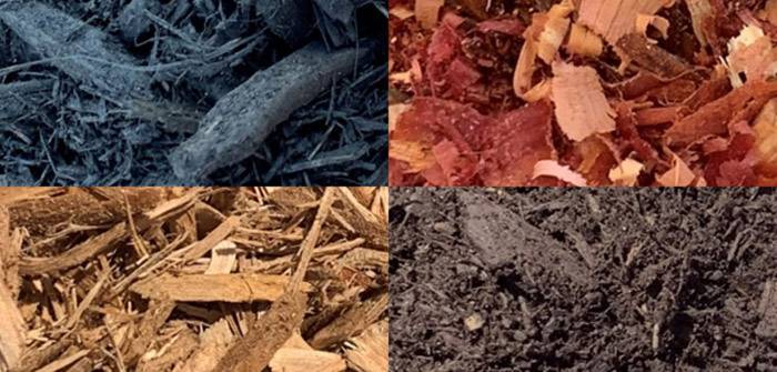 The Dos and Don’ts of Buying Mulch for Your Yard