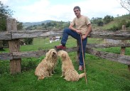 Joseba Irazusta, exfutbolista: «Me emociono cuando hablo del Avilés»