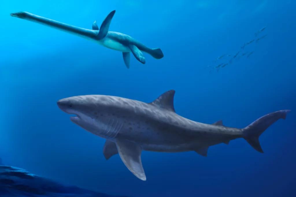 Monstrous shark Cardabiodontids ruled ancient Australian seas before megalodon