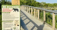 Louisiana black bear found shot dead. A reward is being offered for tips.